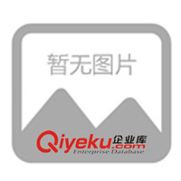 供應美國雷泰 Raytek 紅外測溫儀 MX4+